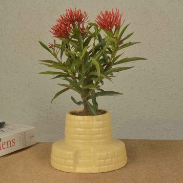 Handcrafted Well Shaped Ceramic Planter Pot (Yellow , Height x Dia – 9 cm x 12 cm)
