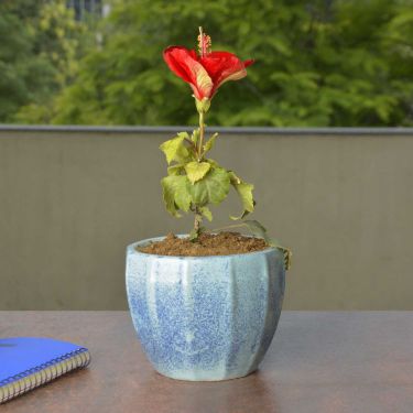 Hand Painted Streak Spray Ceramic Planter Pot (Blue, Diameter - 11 cm, Height - 10 cm) | Indoor & Outdoor Planter | Succulent Pot | Decorative Planter for Living Room and Balcony