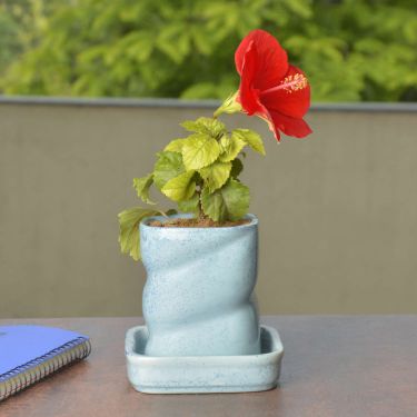 Hand Painted Ceramic Planter Pot with Tray (Sky Blue, Diameter - 8 cm, Height - 10 cm) | Indoor & Outdoor Planter | Succulent Pot | Decorative Planter for Living Room and Balcony