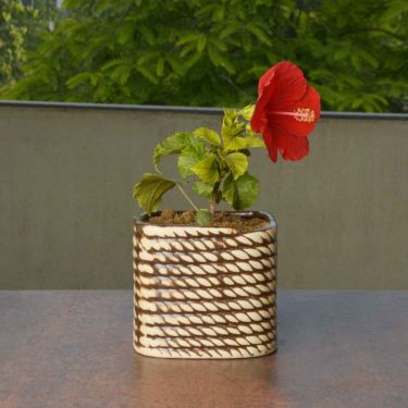 Hand Painted Ceramic Planter Pot (Beige and Brown, Diameter - 10 cm, Height - 10 cm) | Indoor & Outdoor Planter | Succulent Pot | Decorative Planter for Living Room and Balcony