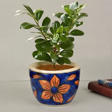 Hand Painted Ceramic Planter Pot with Tray (Blue and Brown, Diameter   9 cm, Height   7 cm) | Indoor & Outdoor Planter | Succulent Pot | Decorative Planter for Living Room and Balcony